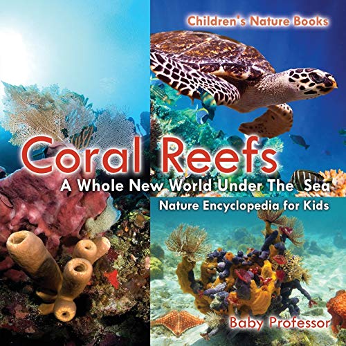Baby Professor Coral Reefs , A Whole New World Under The Sea - Nature Encyclopedia For Kids | Children's Nature Books