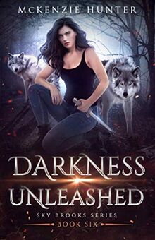 Darkness Unleashed (Sky Brooks Series, Band 6)