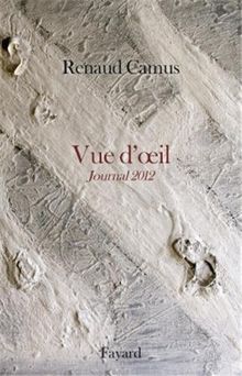 Vue d'oeil: Journal 2012 de Camus, Renaud | Livre | état bon