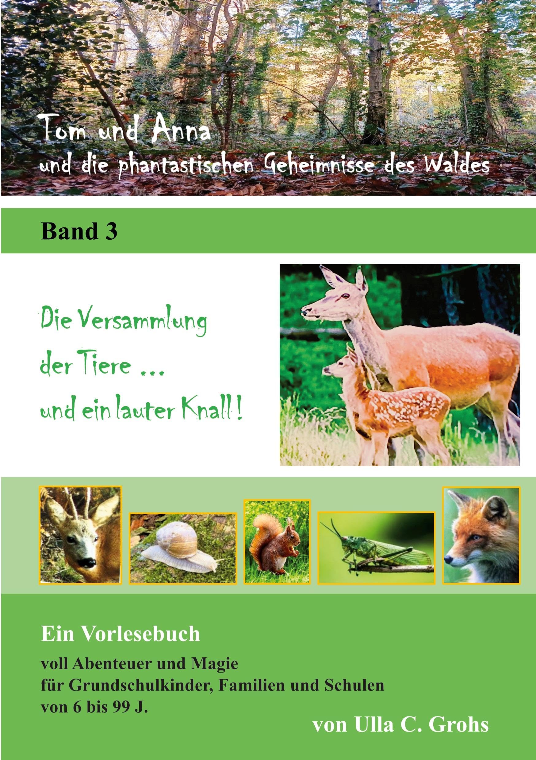 Tom und Anna und die phantastischen Geheimnisse des Waldes: Die Versammlung der Tiere ... und ein lauter Knall ! (Band 3)