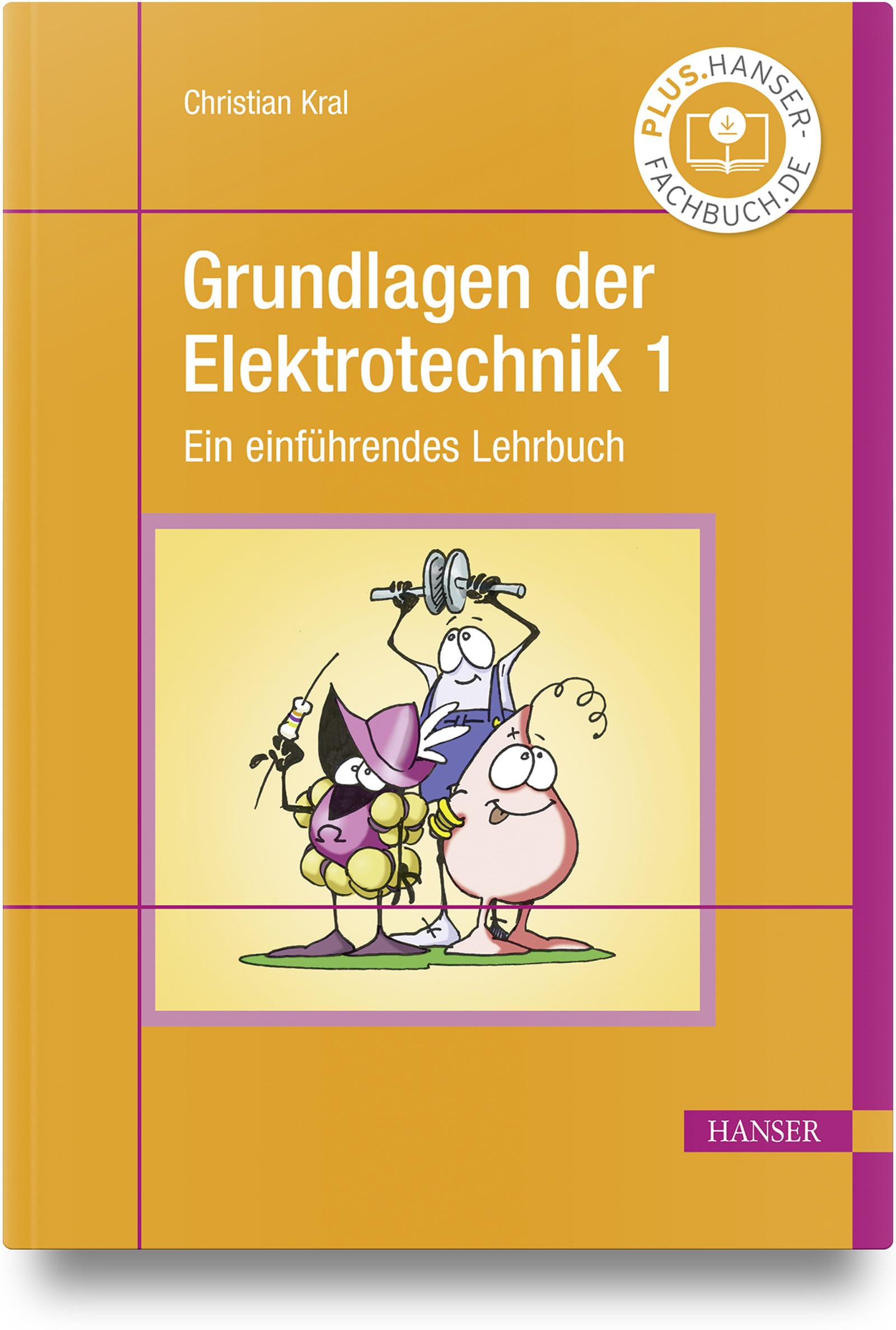 Grundlagen der Elektrotechnik 1: Ein einführendes Lehrbuch