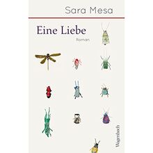 Eine Liebe (Quartbuch)