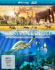 Faszination Unsere Erde 3D (Faszination Afrika / Faszination Korallenriff / Südafrika) (3 Blu-rays) [3D Blu-ray]