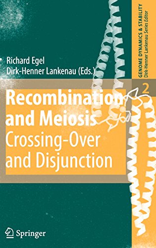 Recombination and Meiosis: Crossing-Over and Disjunction (Genome Dynamics and Stability)