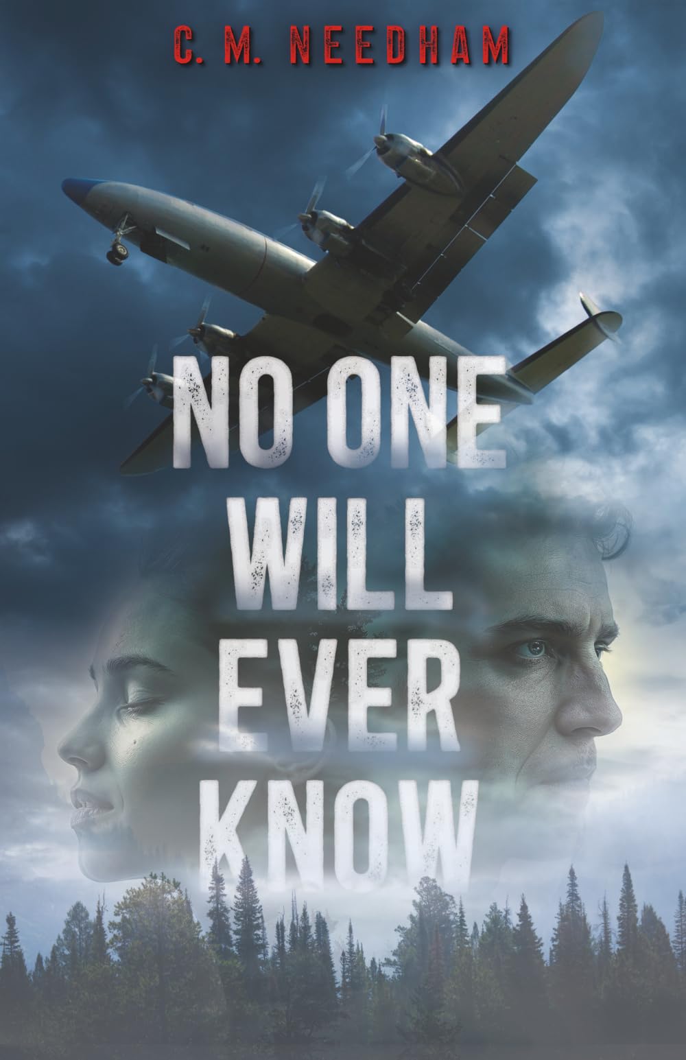 No One Will Ever Know