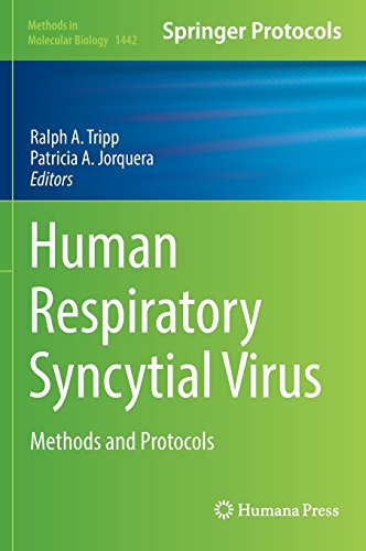 Human Respiratory Syncytial Virus: Methods and Protocols (Methods in Molecular Biology)