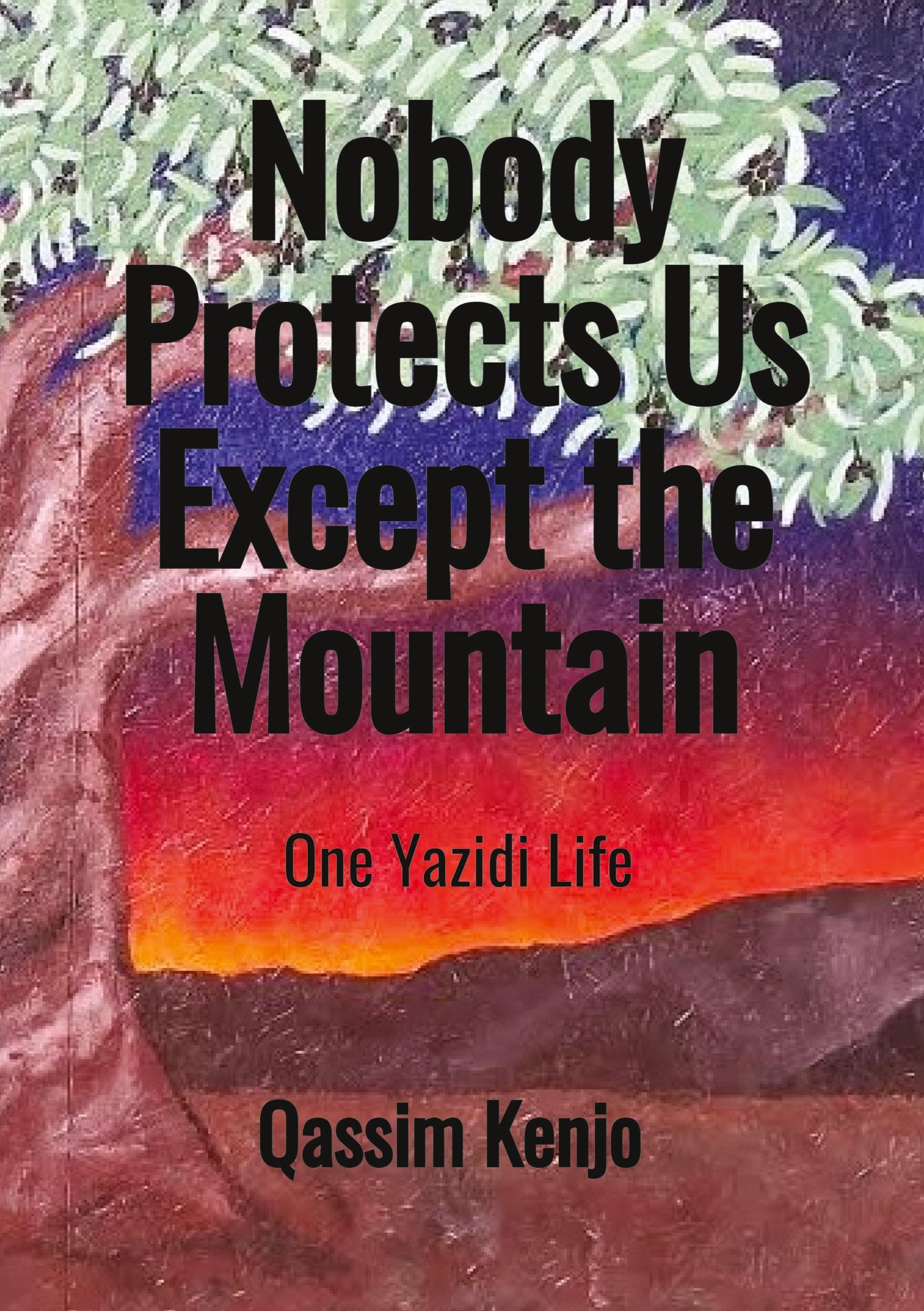 Nobody Protects Us Except the Mountain: One Yazidi Life
