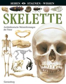 Skelette: Achitektonische Meisterleistungen der Natur