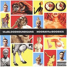 Hooray for Boobies von Bloodhound Gang | CD | Zustand sehr gut