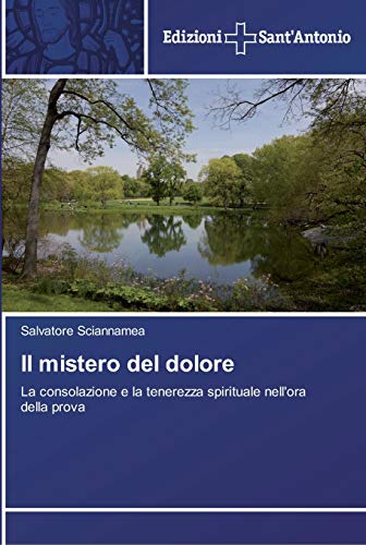 Il mistero del dolore: La consolazione e la tenerezza spirituale nell'ora della prova