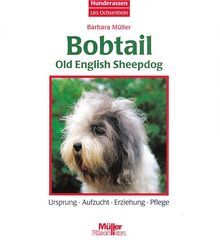 Bobtail