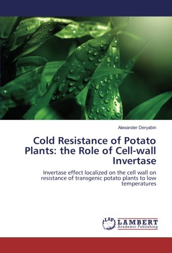 Cold Resistance of Potato Plants: the Role of Cell-wall Invertase: Invertase effect localized on the cell wall on resistance of transgenic potato plants to low temperatures