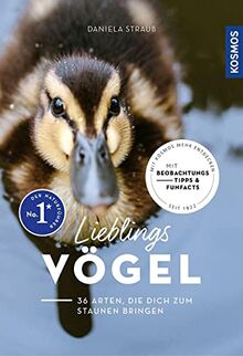 Lieblingsvögel: 36 Arten, die dich zum Staunen bringen