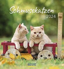 Schmusekatzen 2024: aufstellbarer Postkartenkalender