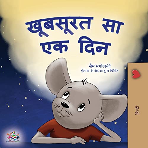 A Wonderful Day (Hindi Children's Book) (Hindi Bedtime Collection)