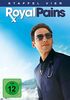 Royal Pains - Staffel vier [4 DVDs]