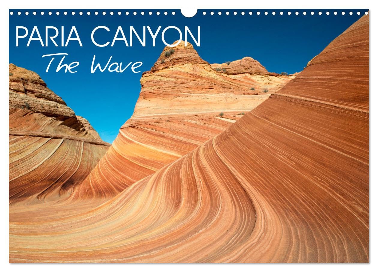 Paria Canyon The Wave (Wall Calendar 2026 DIN A3 landscape), CALVENDO 12 Month Wall Calendar: Wonders of nature