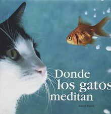 Donde los gatos meditan (Fuera de colección Out of series)