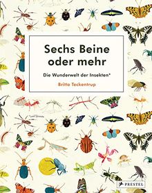 Sechs Beine oder mehr – Die Wunderwelt der Insekten und Spinnen