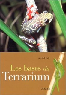 Les bases du terrarium