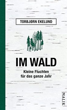 Im Wald: Kleine Fluchten für das ganze Jahr