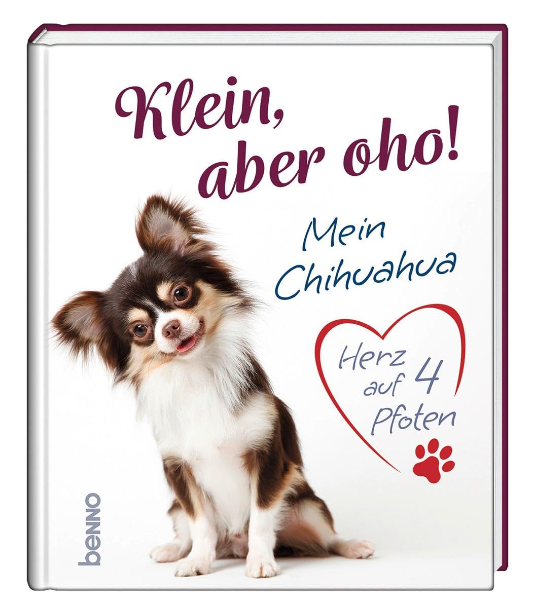 Klein, aber oho!: Mein Chihuahua – Herz auf 4 Pfoten