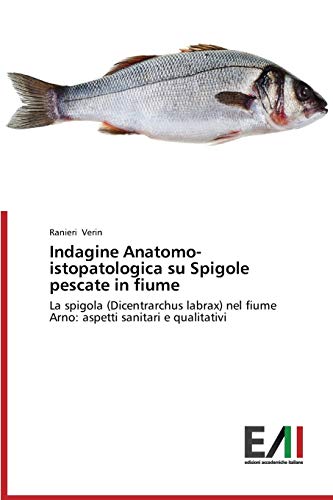 Indagine Anatomo-istopatologica su Spigole pescate in fiume: La spigola (Dicentrarchus labrax) nel fiume Arno: aspetti sanitari e qualitativi