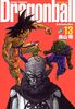 Dragonball (Perfect version) Vol. 13 (Dragon Ball (Kanzen ban)) (in Japanese)