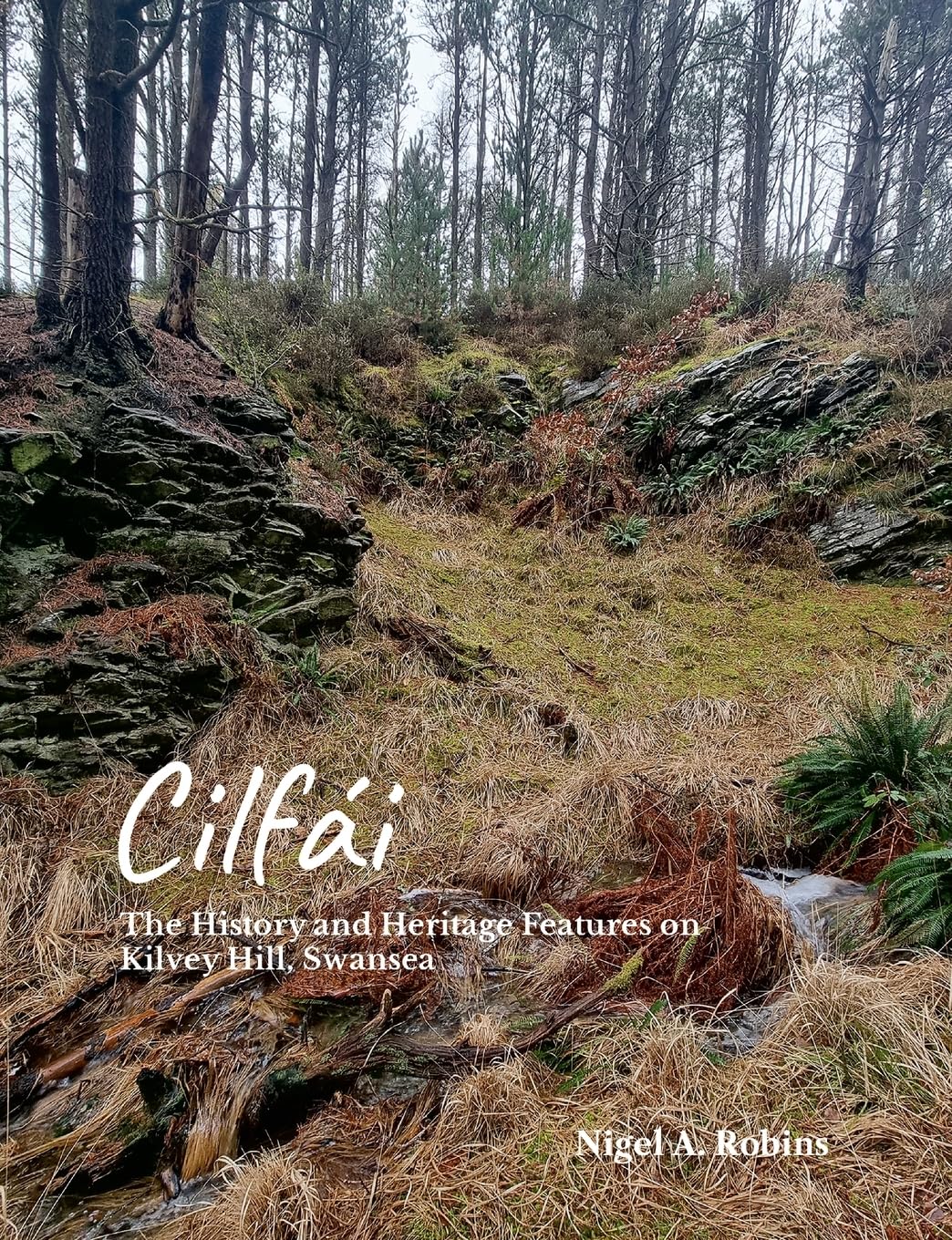 Cilfái: The History and Heritage Features on Kilvey Hill, Swansea