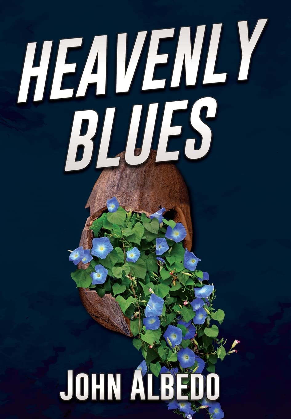 Heavenly Blues (The Brainbow Chronicles, Band 3)