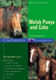 Welsh Ponys und Cobs. Ein Rassewegweiser von Schmelzer, Angelika | Buch | Zustand sehr gut