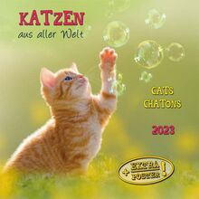 Cats/Katzen 2023: Kalender 2023 (Artwork Edition)