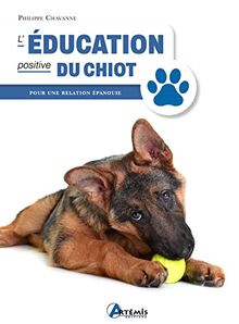 L'éducation positive du chiot : pour une relation épanouie