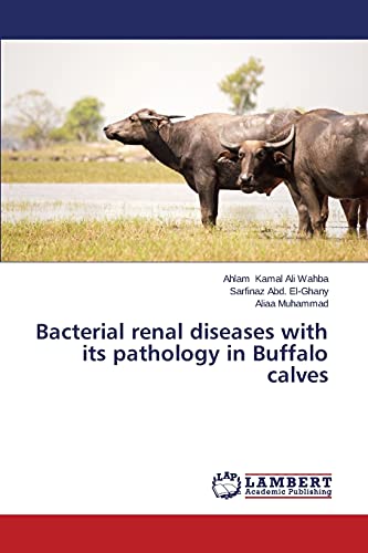 Bacterial renal diseases with its pathology in Buffalo calves
