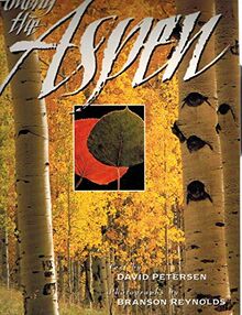 Among the Aspen: Life in an Aspen Grove