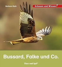 Bussard, Falke und Co.: Schauen und Wissen!