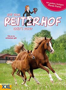 Auf dem Reiterhof geht´s rund - mit großem, farbigem Bauernhof-Poster: Was es zu entdecken gibt