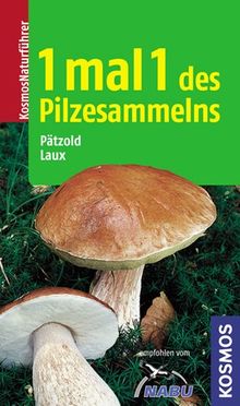 1 mal 1 des Pilzesammelns: Mit neuem Bestimmungsschlüssel