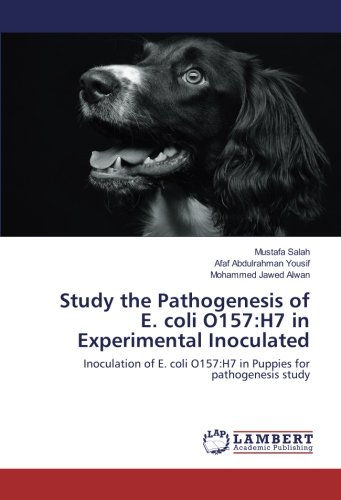 Study the Pathogenesis of E. coli O157:H7 in Experimental Inoculated: Inoculation of E. coli O157:H7 in Puppies for pathogenesis study