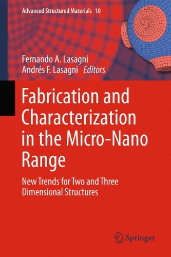 Fabrication and Characterization in the Micro-Nano Range: New Trends for Two and Three Dimensional Structures (Advanced Structured Materials)