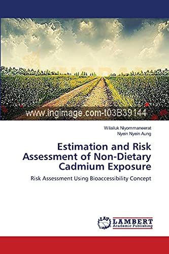 Estimation and Risk Assessment of Non-Dietary Cadmium Exposure: Risk Assessment Using Bioaccessibility Concept