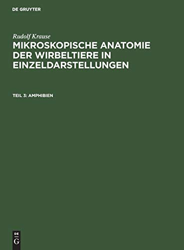 Amphibien (Rudolf Krause: Mikroskopische Anatomie der Wirbeltiere in Einzeldarstellungen)