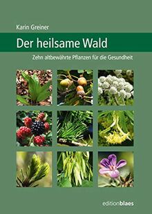 Der heilsame Wald: Zehn altbewährte Pflanzen für die Gesundheit