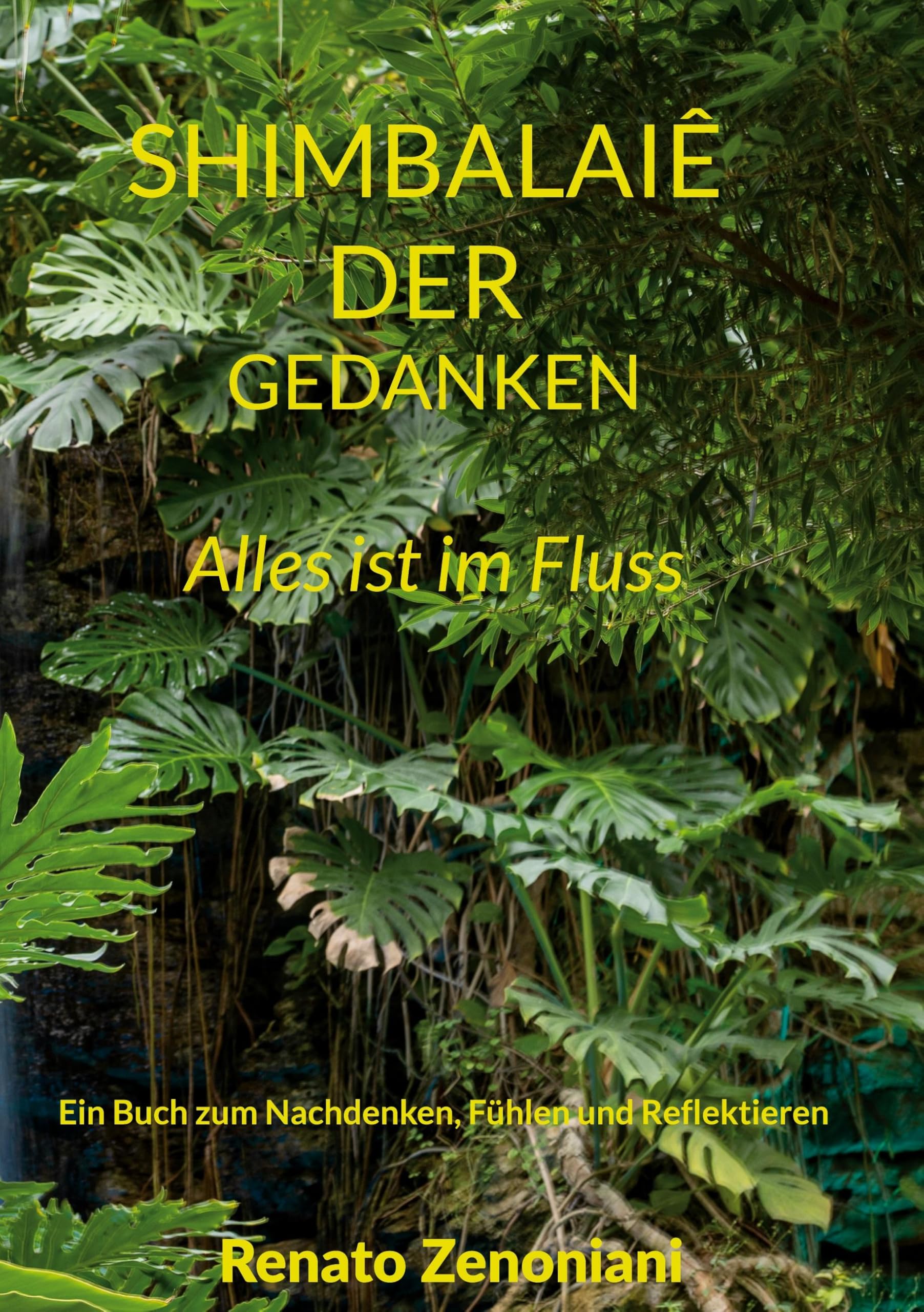 Shimbalaiê der Gedanken: Ein Buch zum Nachdenken, Fühlen und Reflektieren