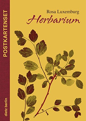Herbarium Postkartenset: 10 Motive aus Rosa Luxemburgs Herbarium