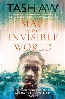 Map of the Invisible World