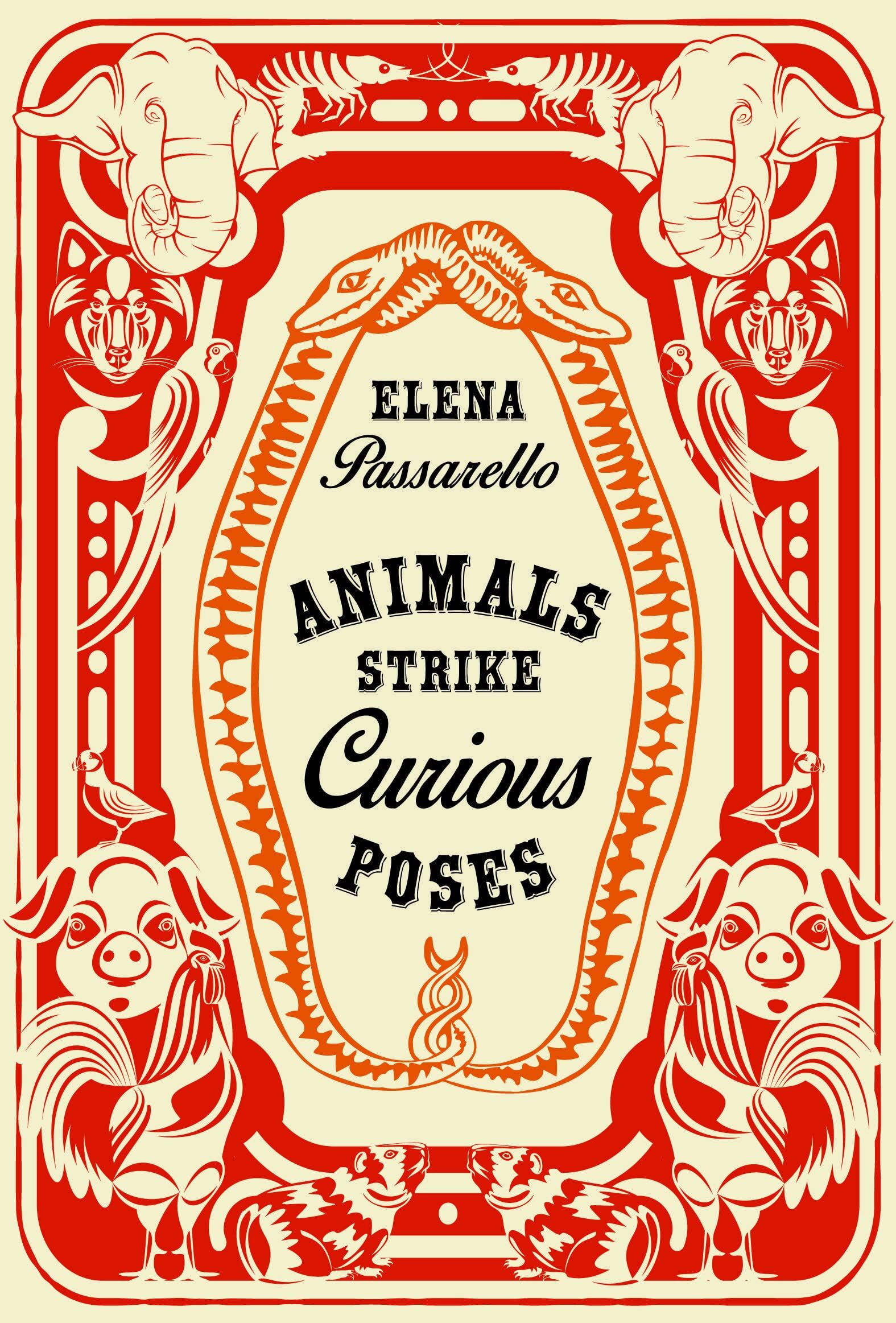 Animals Strike Curious Poses - Neuware
