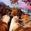 Seasons [Digipack]