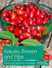 Kräuter, Beeren und Pilze: Bestimmen Sammeln Zubereiten