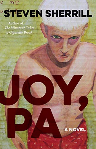 Joy, Pa: A Novel (Yellow Shoe Fiction)
